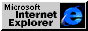 Internet Explorer Icon